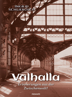 cover image of Valhalla – Erinnerungen aus der Zwischenwelt!